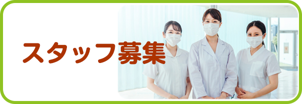 スタッフ紹介